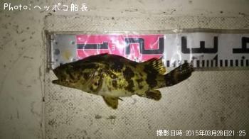 �����Υ���Х�