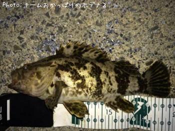 ¥¿¥±¥Î¥³¥á¥Ð¥ë