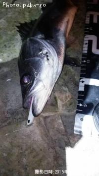 �����Х�