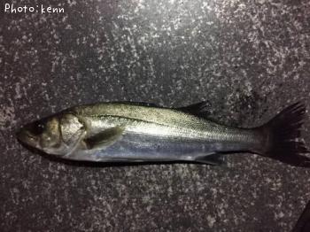 �����Х�