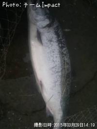 ������ޥ�