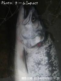 ������ޥ�