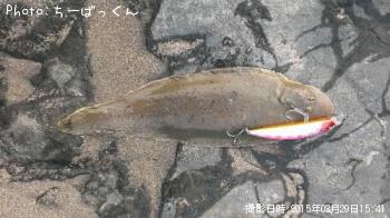 �����ҥ��