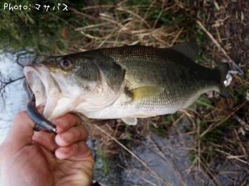 �֥�å��Х�