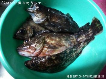 ����������Х�