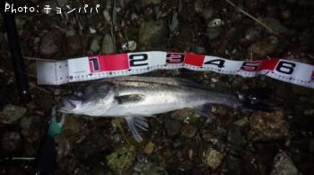 �����Х�