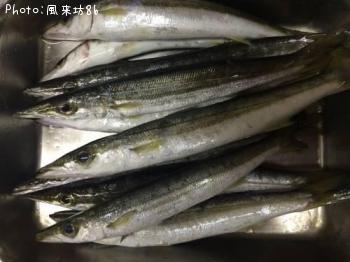 ¥¢¥«¥«¥Þ¥¹