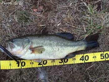 �֥�å��Х�