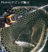 ¥ì¥¤¥ó¥Ü¡¼