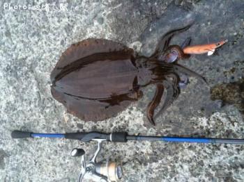 �����ꥤ��