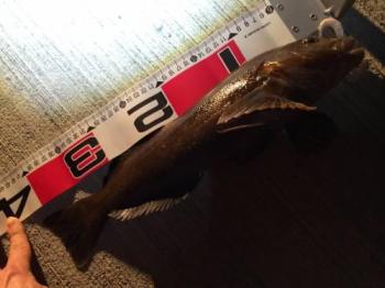 �����ʥ�