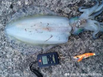 �����ꥤ��