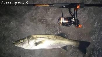 �����Х�