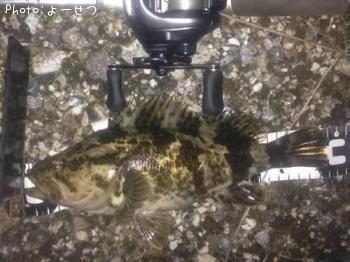 ¥¿¥±¥Î¥³¥á¥Ð¥ë