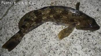 �����ʥ�