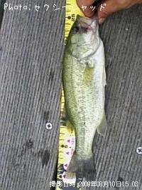 �֥�å��Х�