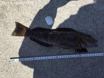 �����ʥ�