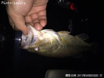 �֥�å��Х�