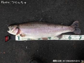 �쥤��ܡ��ȥ饦��