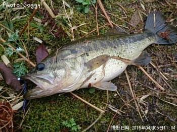 �֥�å��Х�