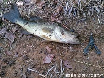 �֥�å��Х�