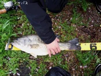 ¥Ö¥é¥Ã¥¯¥Ð¥¹