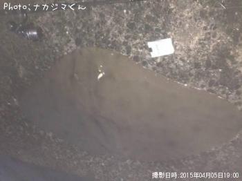 �ĥХ�������