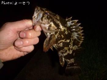 �����Υ���Х�