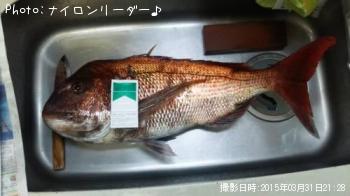 ¥Þ¥À¥¤