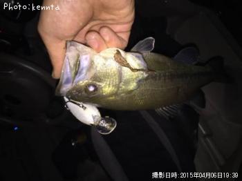 �֥�å��Х�