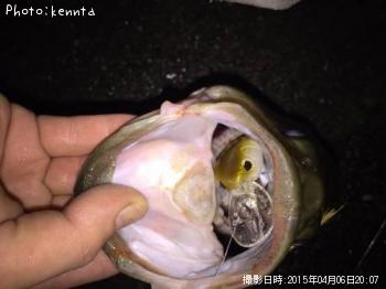 ¥Ö¥é¥Ã¥¯¥Ð¥¹