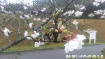 ¥ì¥¤¥ó¥Ü¡¼