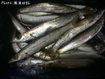 ¥¢¥«¥«¥Þ¥¹