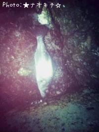 �ҥ饹����