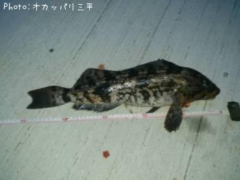 �����ʥ�