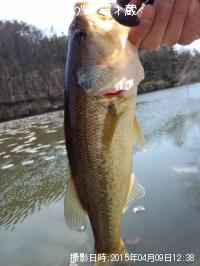 �֥�å��Х�