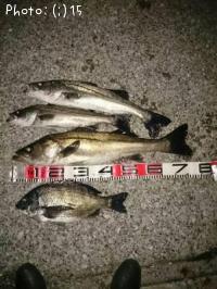 �����Х��ȥ�������