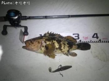 ¥Ù¥Ã¥³¥¦¥½¥¤