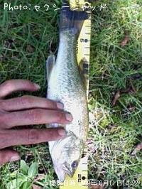 �֥�å��Х�