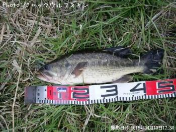 �֥�å��Х�