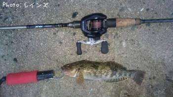 �����ʥ�