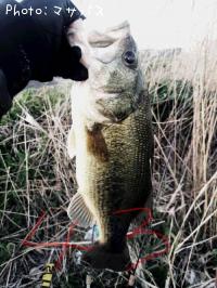 �֥�å��Х�