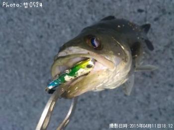 �����Х�