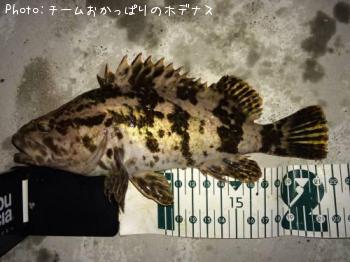 �����Υ���Х�