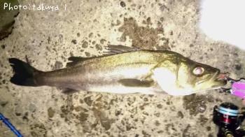 �����Х�