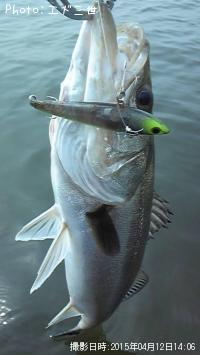 �����Х�