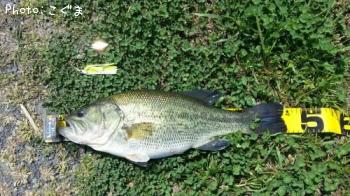 �֥�å��Х�