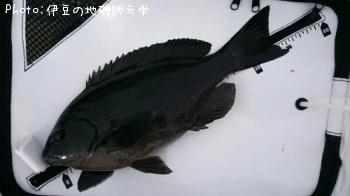 �����᥸��