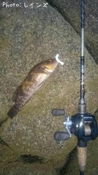 �����ʥ�