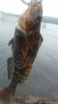 �����ʥ�